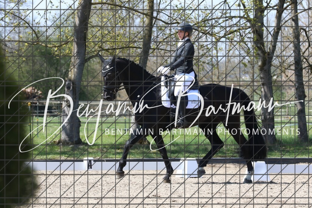 AZ2A5231 | Benjamin Bartmann Photomoments