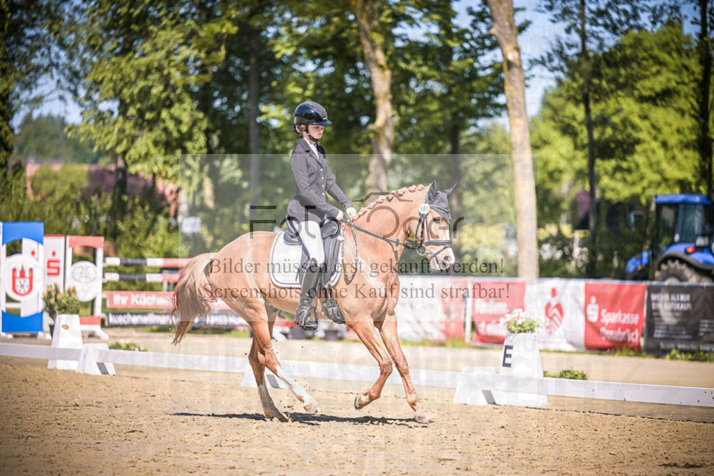 DOS_5154 | Entdecke hochwertige Reitturnierfotos von Foto Oger. Professionell, emotional und authentisch – jetzt Lieblingsmomente im Shop bestellen.Deutschlandweite Turnierfotografie. - Realisiert mit Pictrs.com