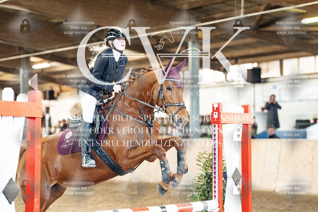 CK903855 | Turnierfotografie Pferdefotografie Trier Rheinland-Pfalz Pferdesport Reitsport Tierfotografie Sportfotografie Pferdevideo Pferdevideografie Equestrianvideography equestrianphotography  - Realized with Pictrs.com