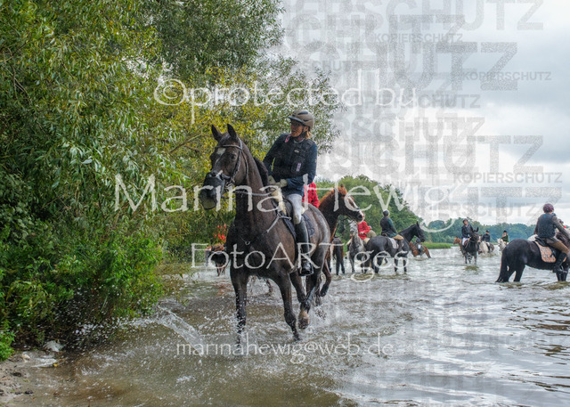 Jagd Perdoel_MarinaHewigDSCF3620 | Fotografie, FotoArt, PferdesportArt, Pferdesportfotografie, Landschaftsfotografie, Reisefotografie, Reise, Pferde - Realisiert mit Pictrs.com