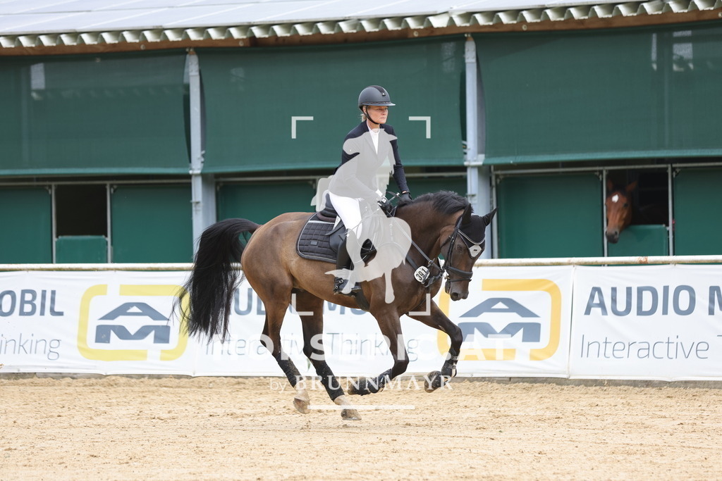 0P6A3327 | Willkommen bei Brunnmayr - Design & Fotografie – Ihrem Spezialisten für Reitturniere und Pferdeveranstaltungen in Oberösterreich, Salzburg und Bayern! Seit über 17 Jahren sind wir leidenschaftlich dabei.