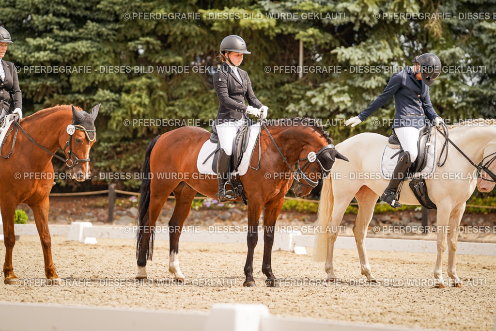 DSC01926 | Pferdegrafie