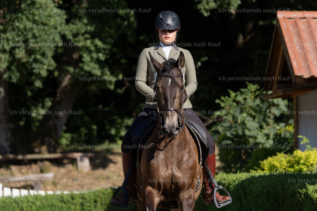 WM_DR_131_sinafilmart_IN04338 | working equitationturnier fotograf videograf stoibphotography marixx film working equitation deutschland reitsport turnierfotografie eventfotografie equestrian events