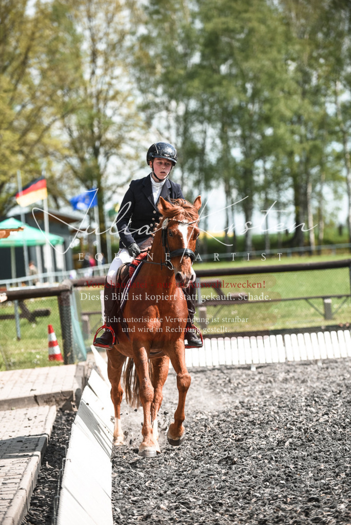 DSC_9035 | Pferde- und Turnierfotografie in Westsachsen. Pferdeportraits, Auftragszeichnungen und intuitive Kunst.