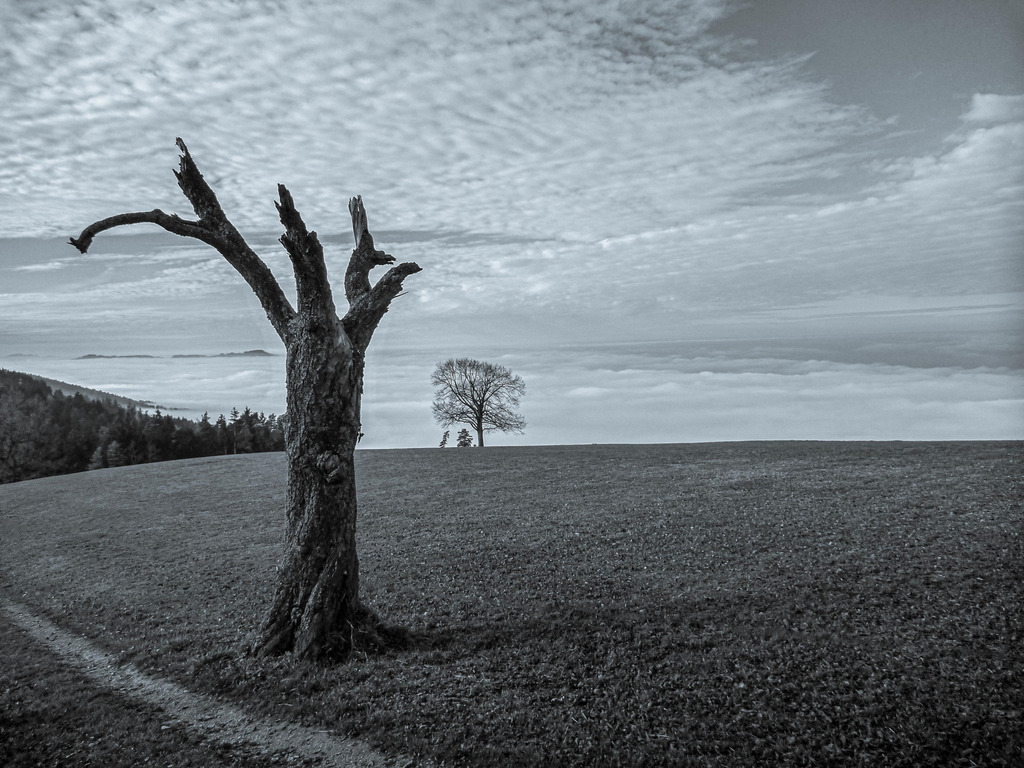 2011_11_20 P1060216 | bridgeman - Realisiert mit Pictrs.com