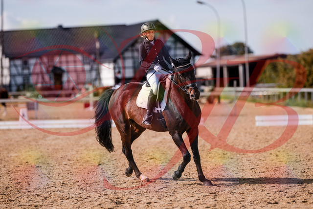 2026_10_03_Siefer-Hof_133827_Z81_96361777 | Professionelle Reitsport-, Turnier- und Eventfotografie von Robert Broda. Galerien mit ausgewählten und bearbeiteten Bildern direkt online ansehen und bestellen.