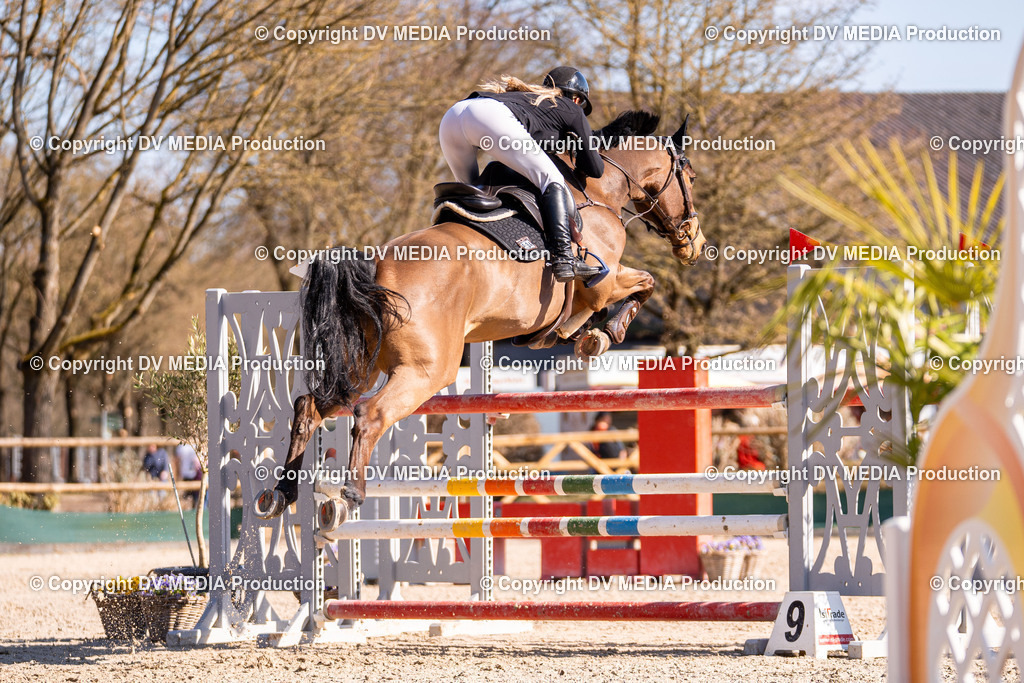 Kranichstein Tag 2-752 | dv-media-shop - Realisiert mit Pictrs.com