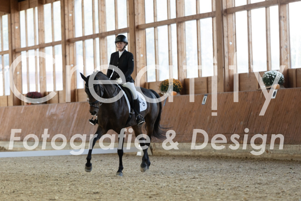 IMG_1056 | Creatify Fotografie