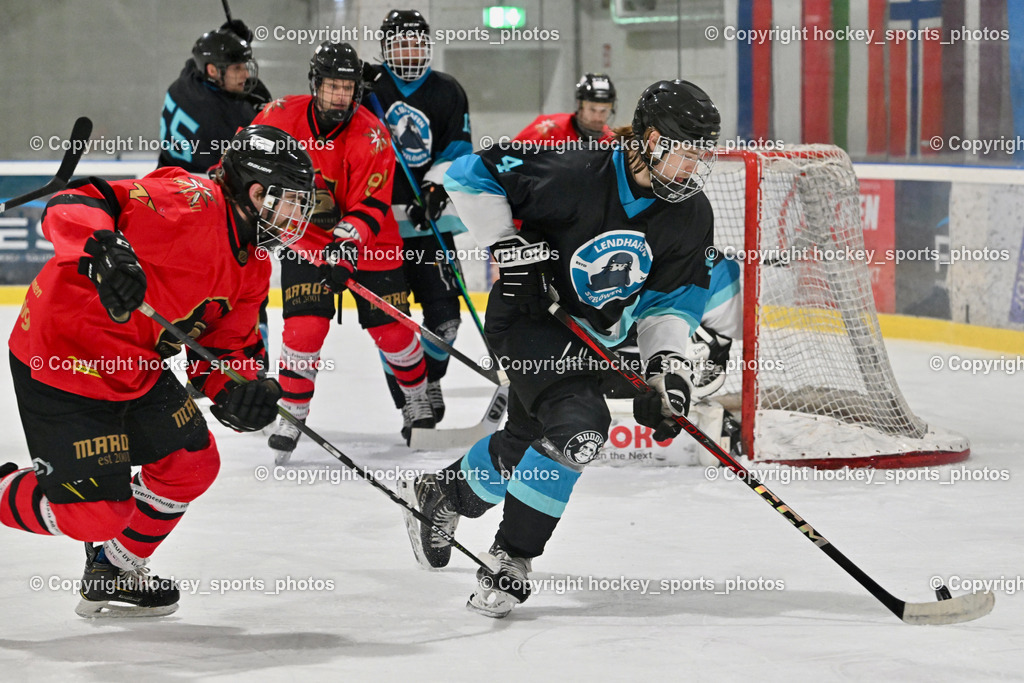 Lendhafen Seelöwen vs. Spartans Althofen | #4 Kompain Mark Lendhafen Seelöwen, #77 Schumnig Stefan Spartans Althofen, Lendhafen Seelöwen vs. Spartans Althofen, Lendhafen Seelöwen vs. Spartans Althofen am 14.02.2025 in Ferlach (HTC Eishalle Ferlach), Austria, (Photo by Bernd Stefan)