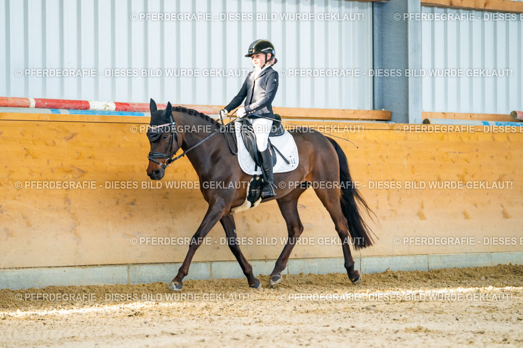 DSC06287 | Pferdegrafie