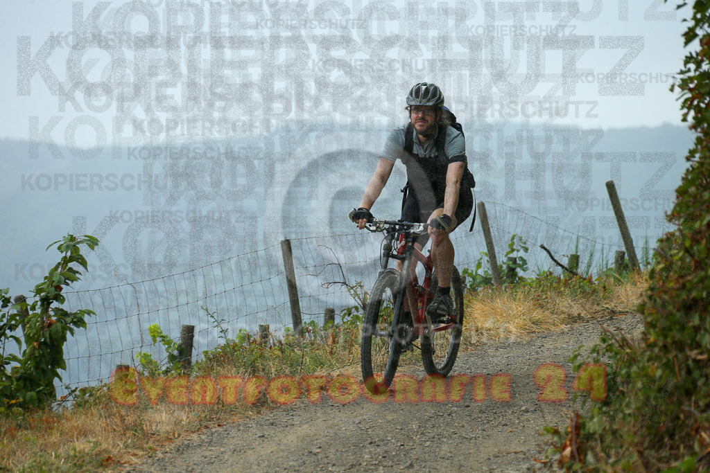220827_0938_EX1_8194 | Sportfotografie im Rhein-Sieg Kreis, Köln, Bonn, NRW, Rheinland Pfalz, Hessen, etc. Unser Tätigkeitsfeld umfasst den Laufsport vom Volkslauf über den Marathon, Duathlon, Triathon bis zum Ultralauf wie Kölnpfad Ultra oder Schindertrail.