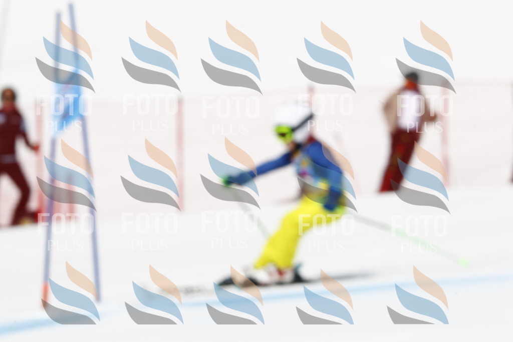 _U3G4845 | holidayphoto