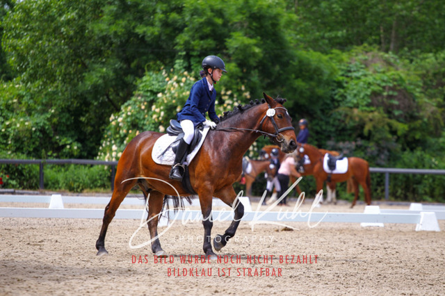 DKP46291 | Turnierfotos kaufen im Webshop von Daniel Kuhl Photography – entdecke professionelle Reitsportfotos aus Turnieren & Events. Hochwertige Turnierbilder online bestellen & sichern. Jetzt Fotos von Reitsportturnieren kaufen!