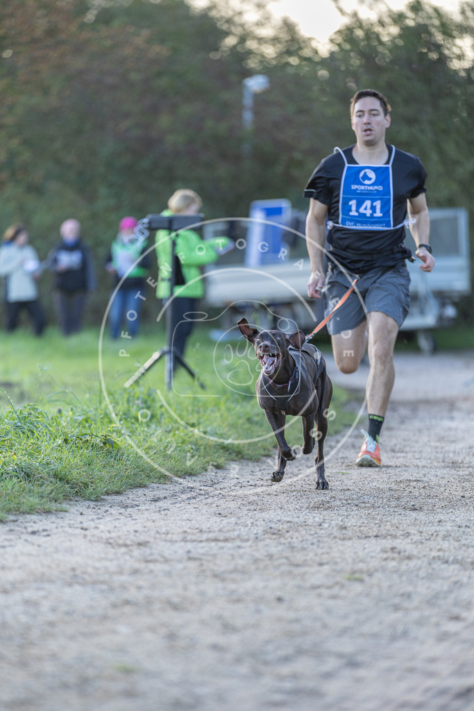 Pfotenfotografie.de_DV3A2819 | Hundefotografie, Tierfotograf, Pfotenfotografie, Fotoshooting Hund, Hunde Portrait, Hundesport, Hundeportraits, Heideshooting, Hunde, Sportfotograf, Hundefotograf, Turnierhundsport, THS, canicross - Realisiert mit Pictrs.com