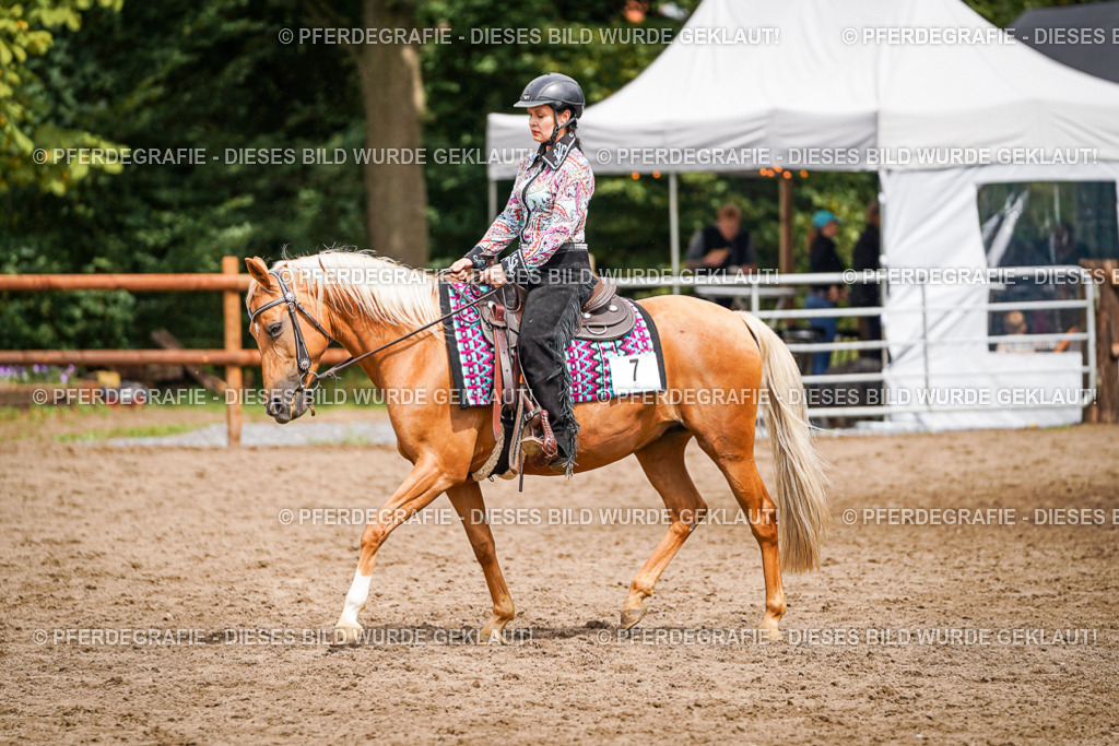 DSC04646 | Pferdegrafie