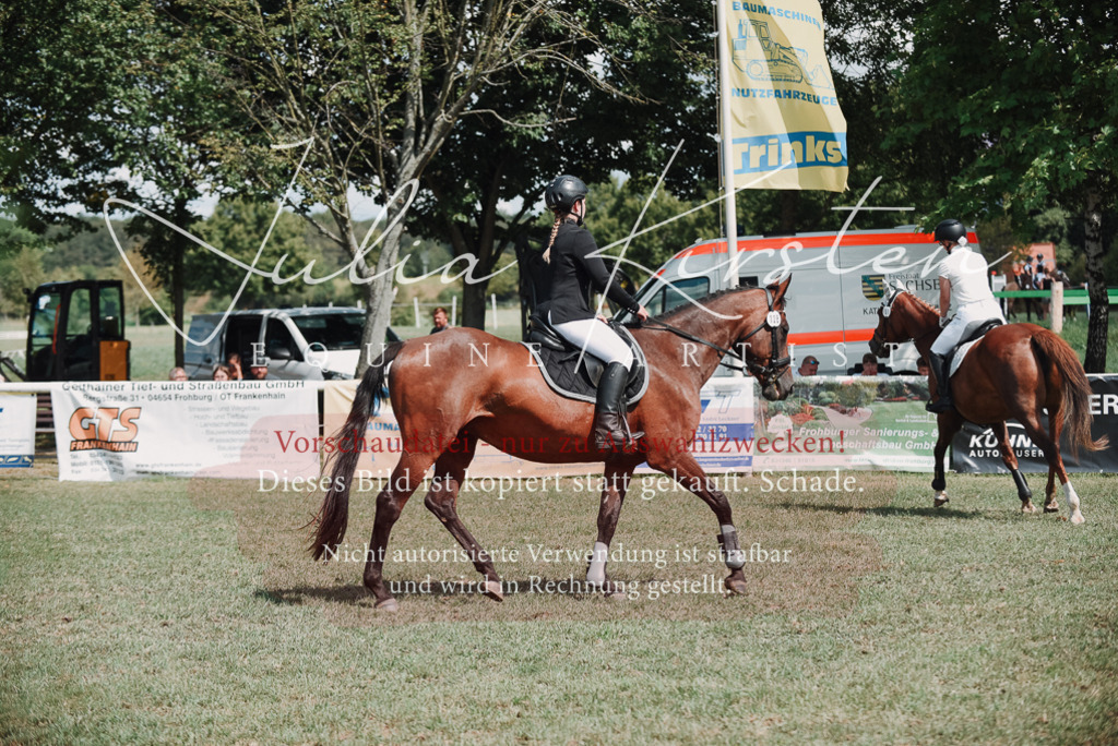 DSC_5756 | Pferde- und Turnierfotografie in Westsachsen. Pferdeportraits, Auftragszeichnungen und intuitive Kunst.