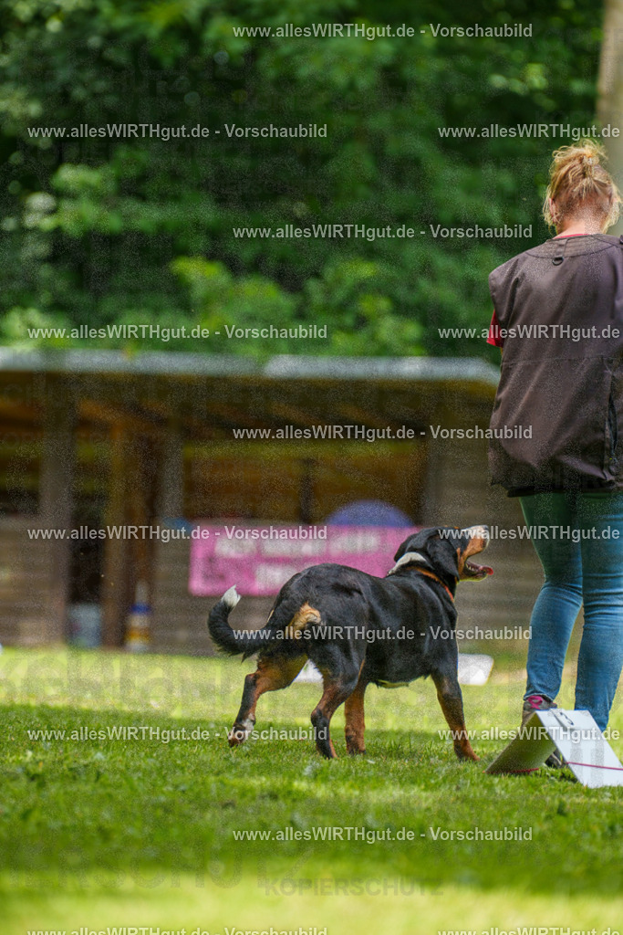 @allesWIRTHgut_Tierfotografie - www.allesWIRTHgut.de - 7R504539 | Professionelle Tierfotografie in Mönchengladbach von Daniel Wirth (allesWIRTHgut). Liebevolle & natürliche Bilder von Hunden & Katzen für unvergessliche Erinnerungen.