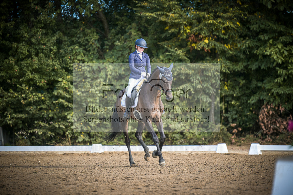 DOS_0473 | Entdecke hochwertige Reitturnierfotos von Foto Oger. Professionell, emotional und authentisch – jetzt Lieblingsmomente im Shop bestellen.Deutschlandweite Turnierfotografie. - Realisiert mit Pictrs.com