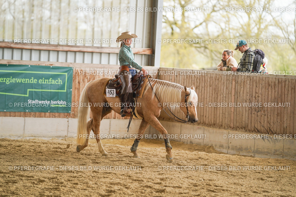 DSC09340 | Pferdegrafie