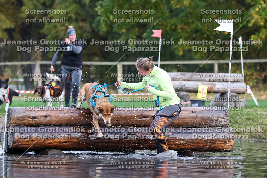 Dog Paparazzi - Strongdog 10-25-6693 | Dog Paparazzi Jeanette Grottendiek Fotografie & Videografie - Realisiert mit Pictrs.com