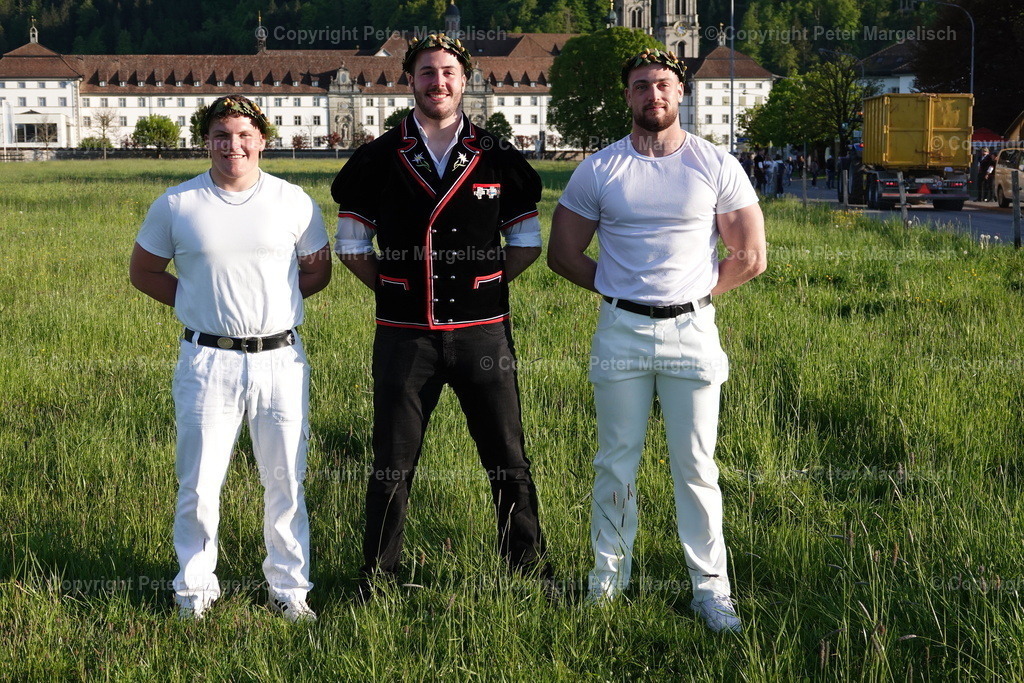 DSC01099 | Schwingen - Realisiert mit Pictrs.com