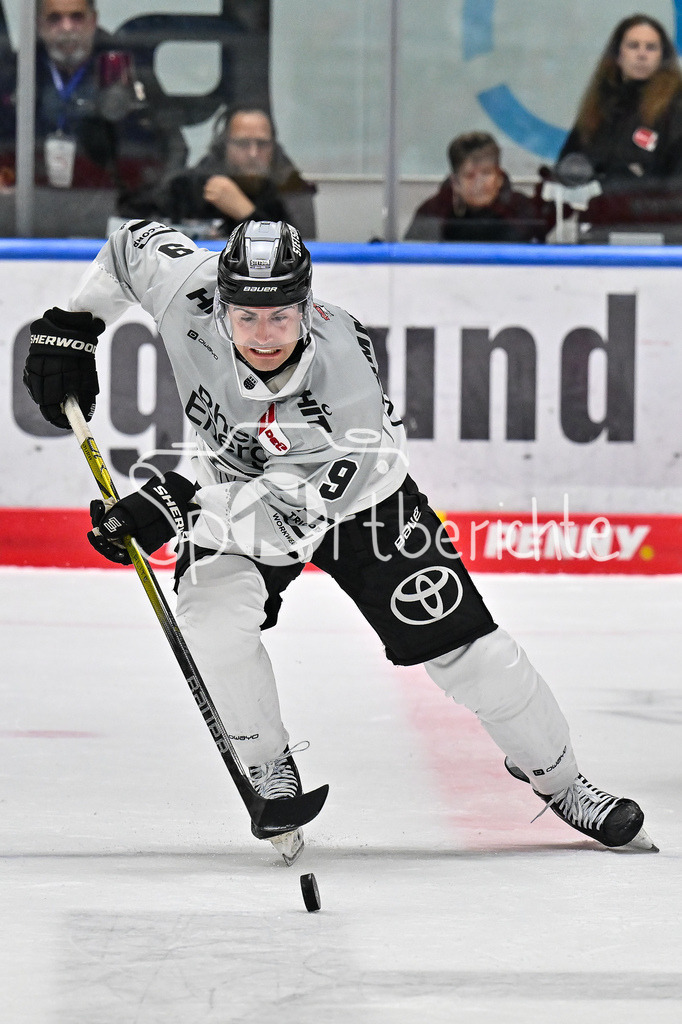 Augsburger Panther - Kölner Haie | Am Puck Maximilian KAMMERER (Koelner Haie #9) / Freisteller / Einzelfoto / DEL: Augsburger Panther - Kölner Haie, Curt Frenzel Stadion am 29.09.2024