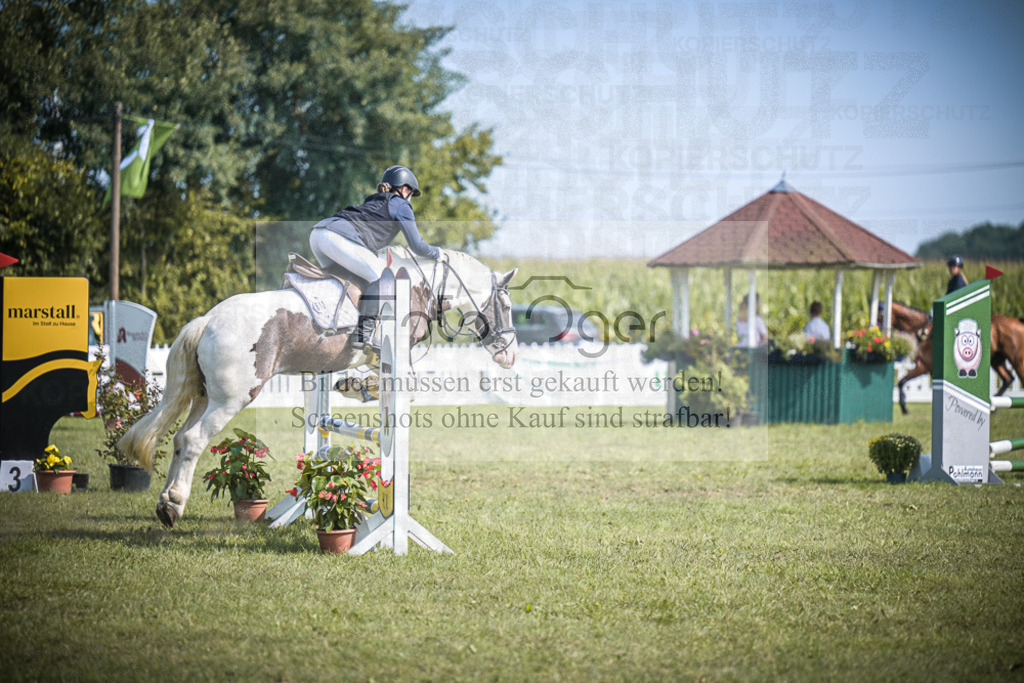 DOS_2853 | Entdecke hochwertige Reitturnierfotos von Foto Oger. Professionell, emotional und authentisch – jetzt Lieblingsmomente im Shop bestellen.Deutschlandweite Turnierfotografie. - Realisiert mit Pictrs.com