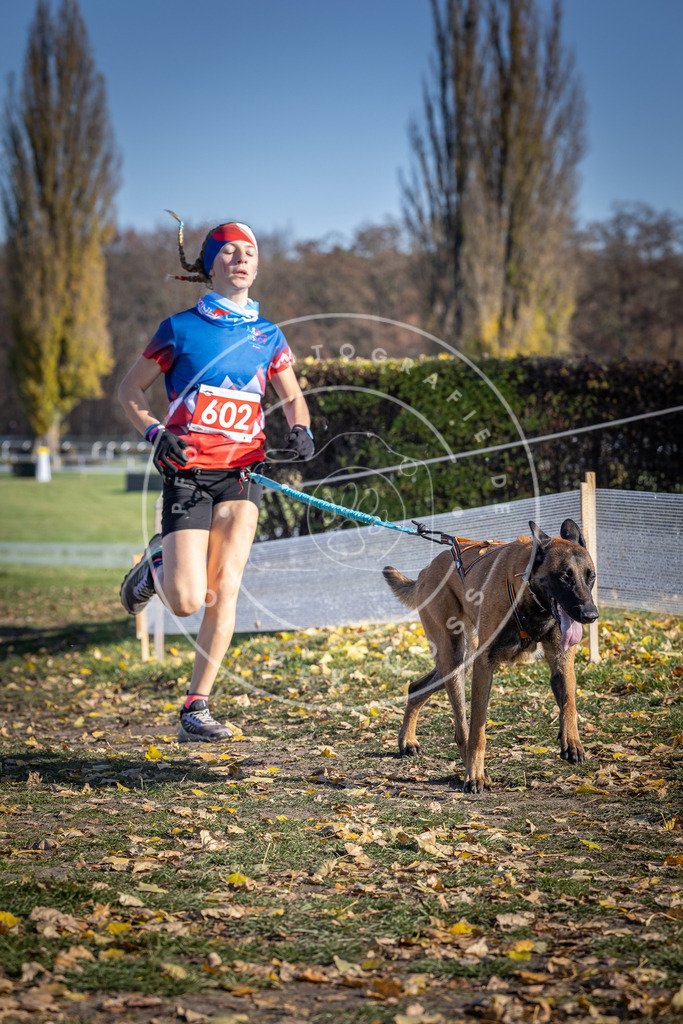 CaniXpix_DV3A9537 | Hundefotografie, Tierfotograf, Pfotenfotografie, Fotoshooting Hund, Hunde Portrait, Hundesport, Hundeportraits, Heideshooting, Hunde, Sportfotograf, Hundefotograf, Turnierhundsport, THS,  - Realisiert mit Pictrs.com