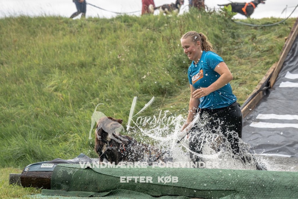 1152_ZZ93779 | kk-dogfotos