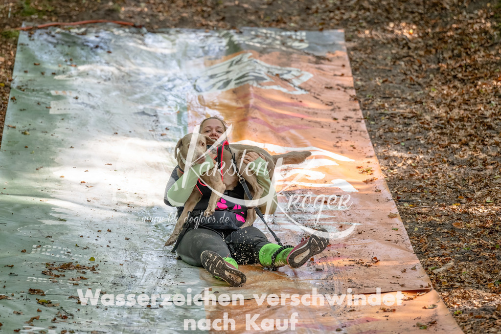 1219_ZZ93990-Bearbeitet | kk-dogfotos