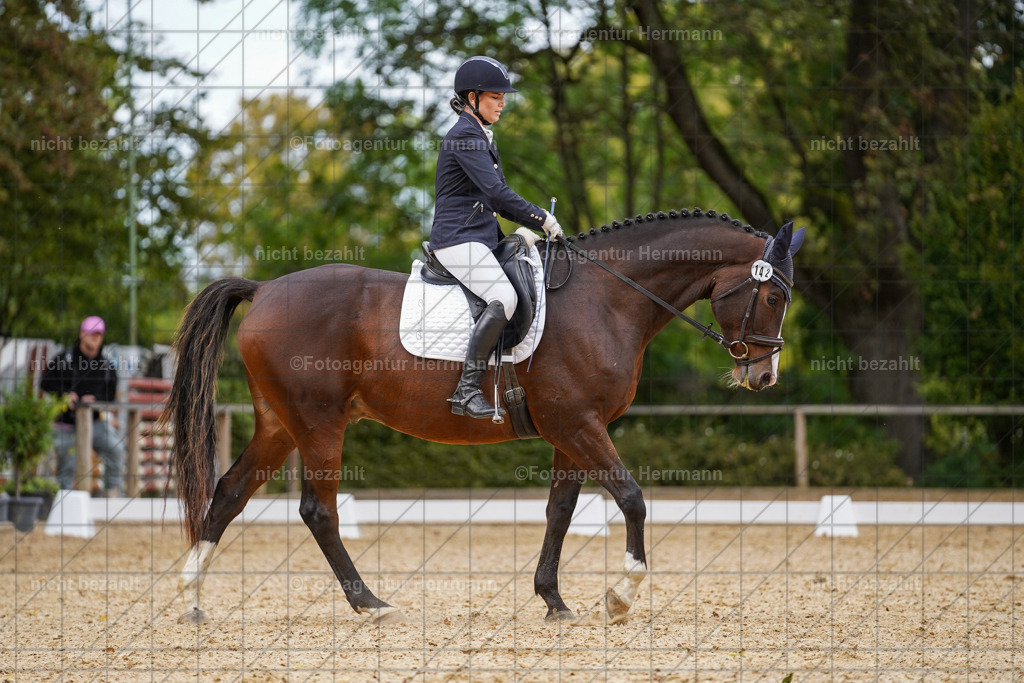 20231007-SN_00607 | Diessen am Ammersee, 2023, Dressur- und Springturnier, Reitsport, Turnierfotografie, Pferdebilder, Reitbilder, Turnierfotografen Bayern, Fotoagentur Herrmann