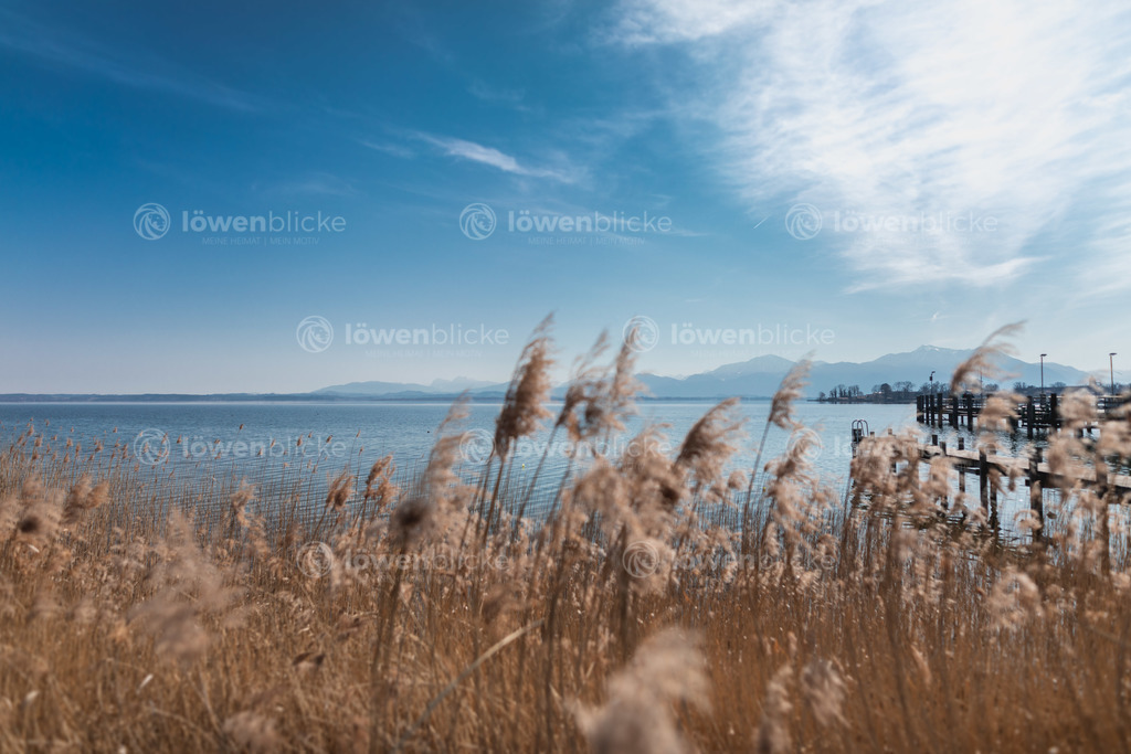 Chiemsee Ufer im Winter | löwenblicke | shop