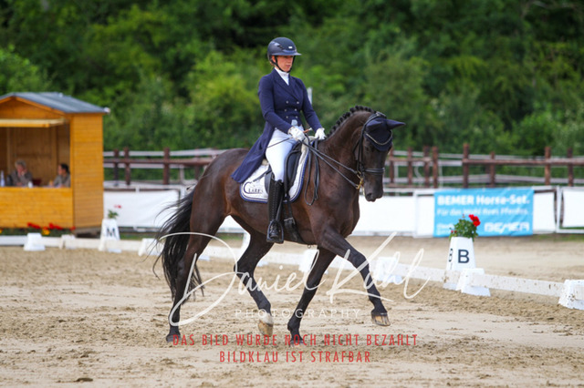DKP48079 | Turnierfotos kaufen im Webshop von Daniel Kuhl Photography – entdecke professionelle Reitsportfotos aus Turnieren & Events. Hochwertige Turnierbilder online bestellen & sichern. Jetzt Fotos von Reitsportturnieren kaufen!