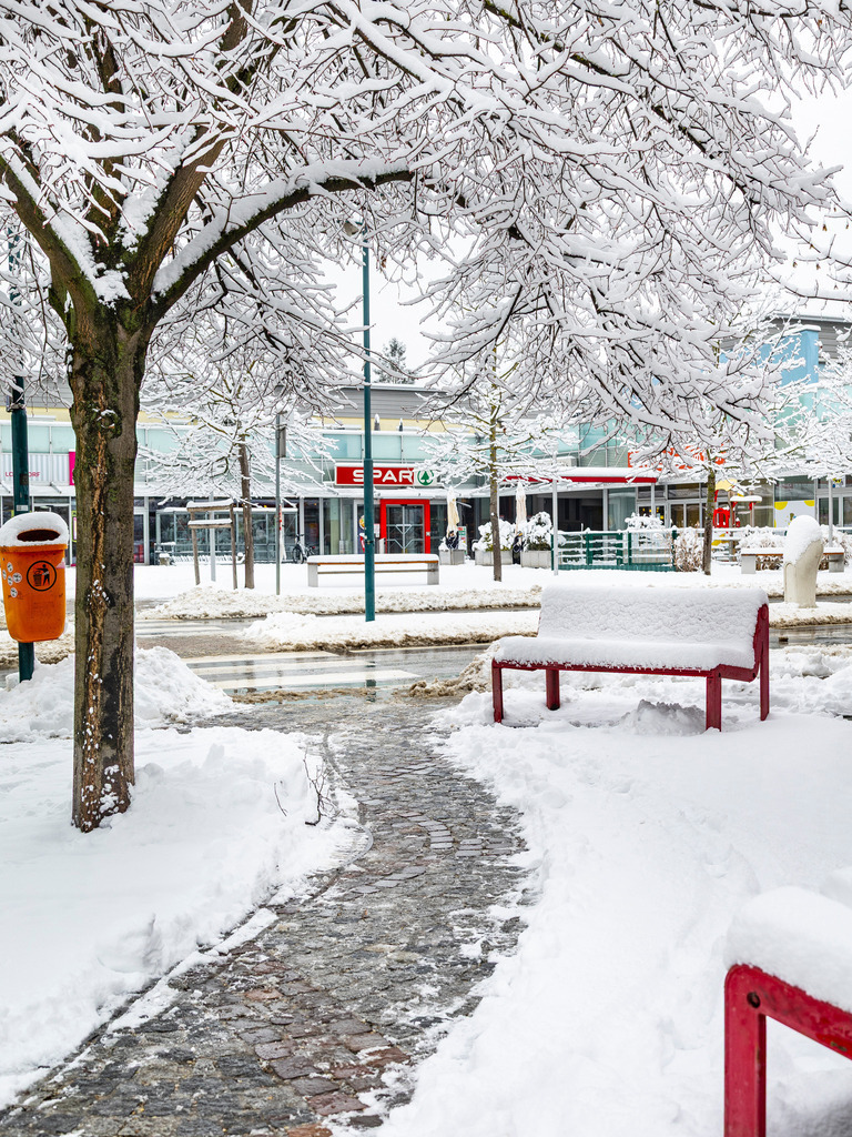 _ 3382_WINTER26_8031 | WInteraufnahmen Loosdorf 2026