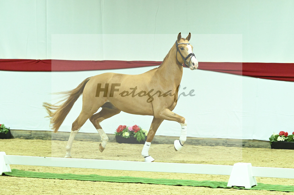 Kat-Nr. 10 v. Fuerst Samarant_Beckmann_63220022 | hf-fotografie - Realizzato con Pictrs.com
