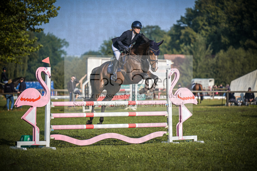 DOS_0728 | Entdecke hochwertige Reitturnierfotos von Foto Oger. Professionell, emotional und authentisch – jetzt Lieblingsmomente im Shop bestellen.Deutschlandweite Turnierfotografie. - Realisiert mit Pictrs.com