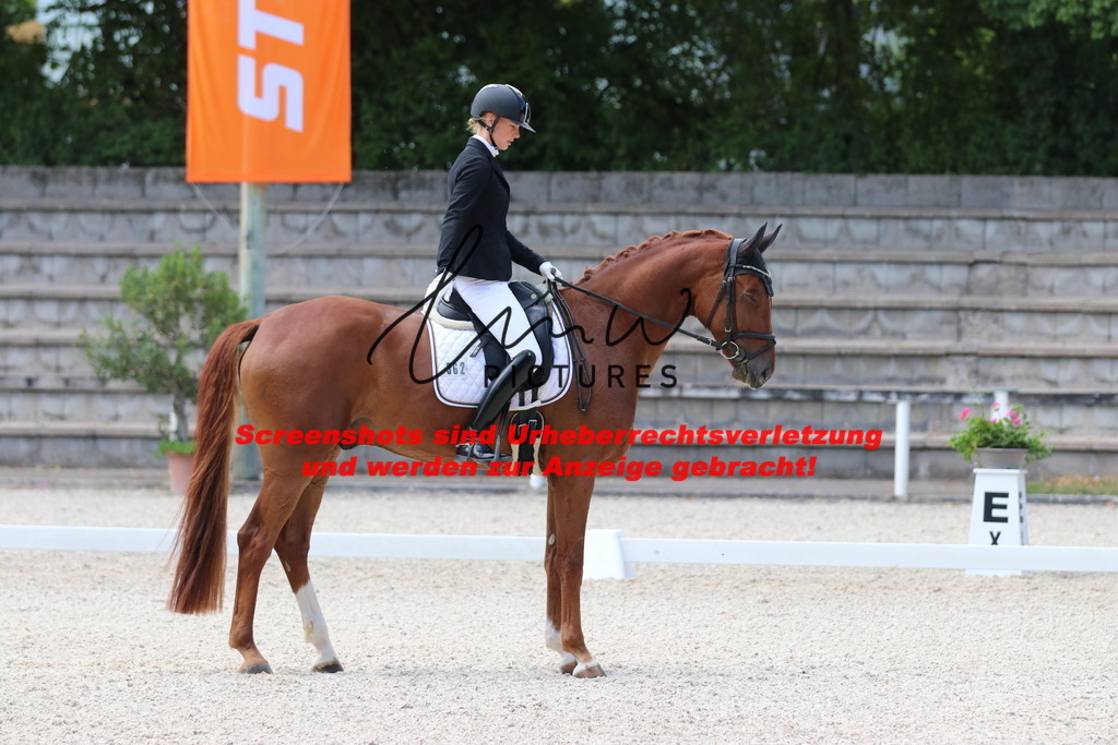 IMG_4531 | lmwpictures - Realisiert mit Pictrs.com