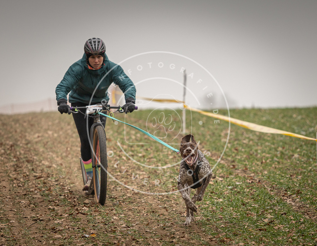 Pfotenfotografie_DV3A3555 | Hundefotografie, Tierfotograf, Pfotenfotografie, Fotoshooting Hund, Hunde Portrait, Hundesport, Hundeportraits, Heideshooting, Hunde, Sportfotograf, Hundefotograf, Turnierhundsport, THS,  - Realisiert mit Pictrs.com