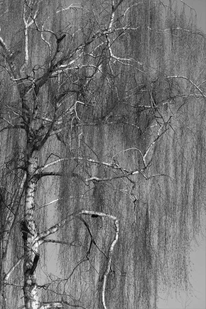 P1640809_b | Annaeherungen - Realisiert mit Pictrs.com