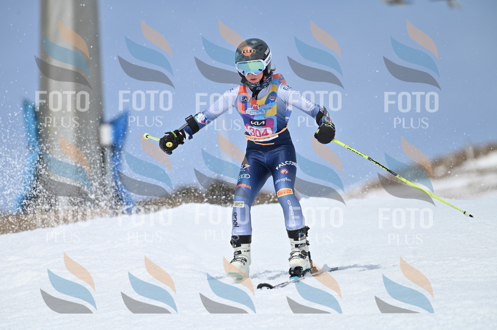 BGV_2828 | holidayphoto