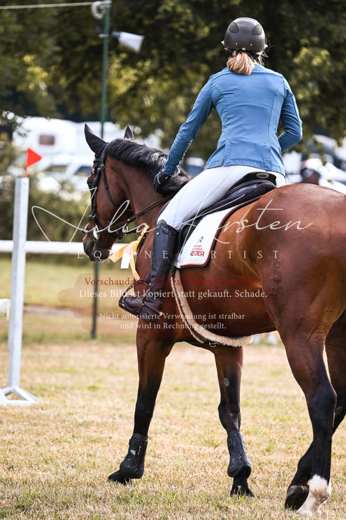 DSC_7671 | Pferde- und Turnierfotografie in Westsachsen. Pferdeportraits, Auftragszeichnungen und intuitive Kunst.