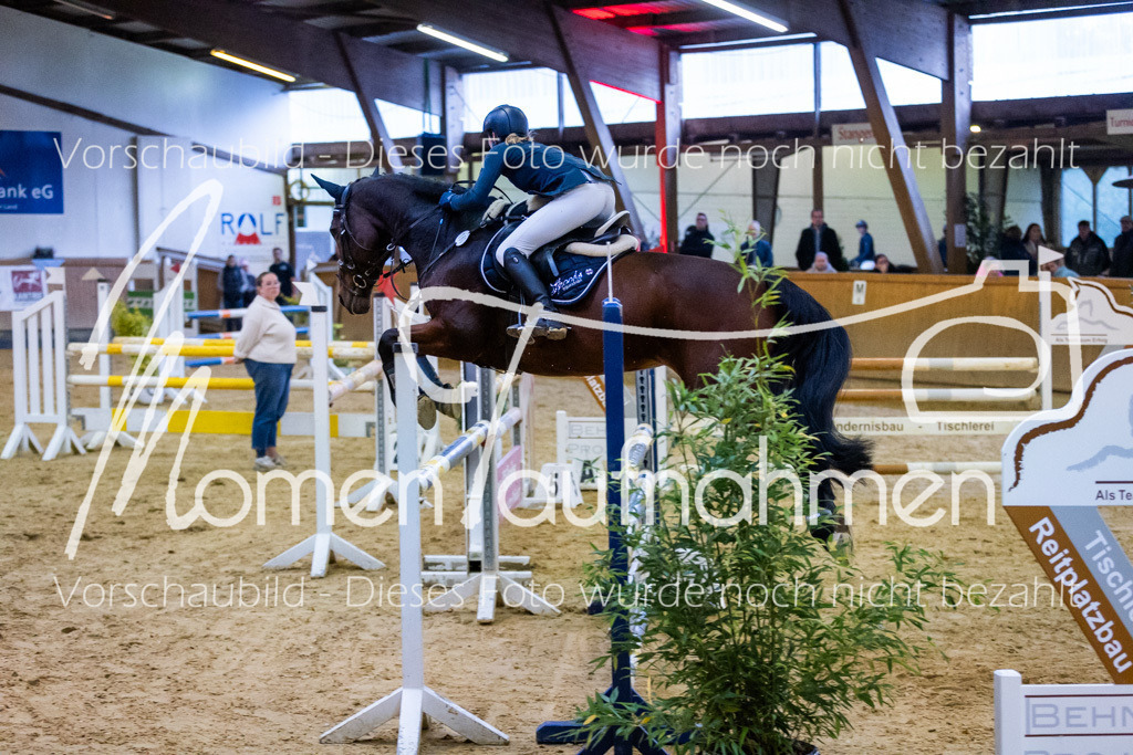 Sth-L-Springen-035 | MomenTaufnahmen Pferdesportfotos