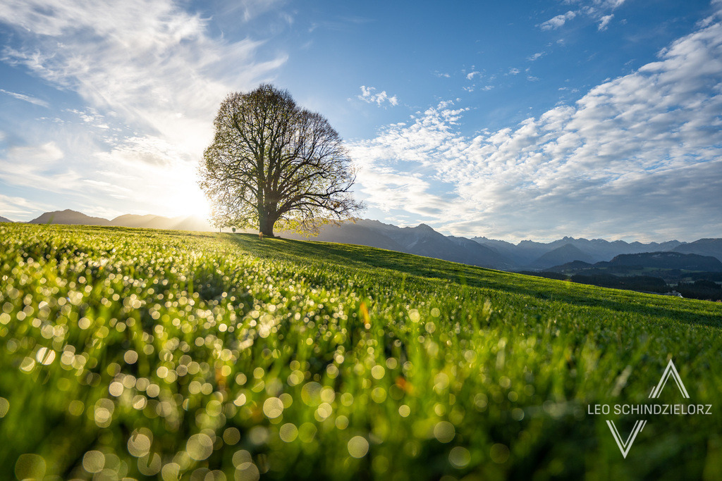 A7300052 | Atmosphärische Landschaftsbilder & Drohnenaufnahmen aus dem Allgäu, Tirol, Südtirol & der Schweiz – ideal für Leinwanddrucke & zur stilvollen Raumgestaltung. - Realisiert mit Pictrs.com