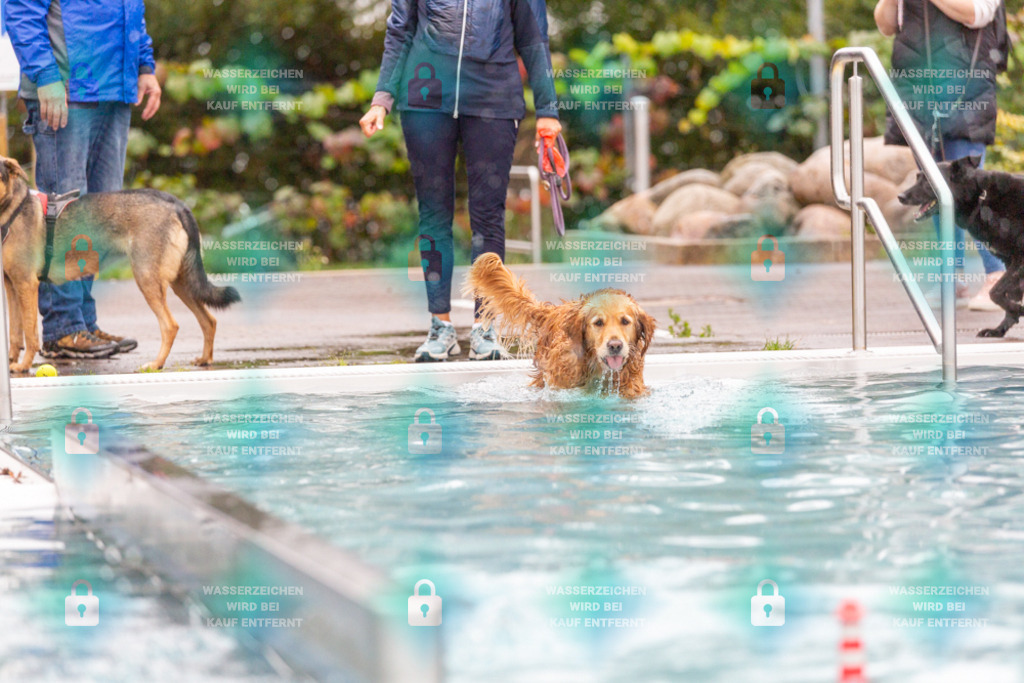 _HP_7189_1000o | HetPix, HetPix Fotodesign, Fotografie, Fotodesign, Webshop, Sportfotografie, Portraitfotografie, Onlineshop, Sportfotografie, Polch, Motorsportfotografie, Eventfotografie