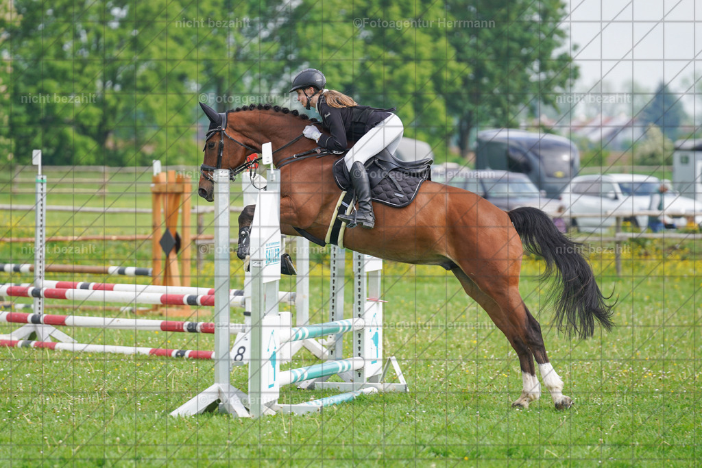 20240509-FAH02176 | Turnierbilder der Turnierfotografen Bayern, Pferdesport Fotografie, Reitsportbilder, Turnier Landberg am Lech, Turnierbilder bayern, Fotoagentur Herrmann