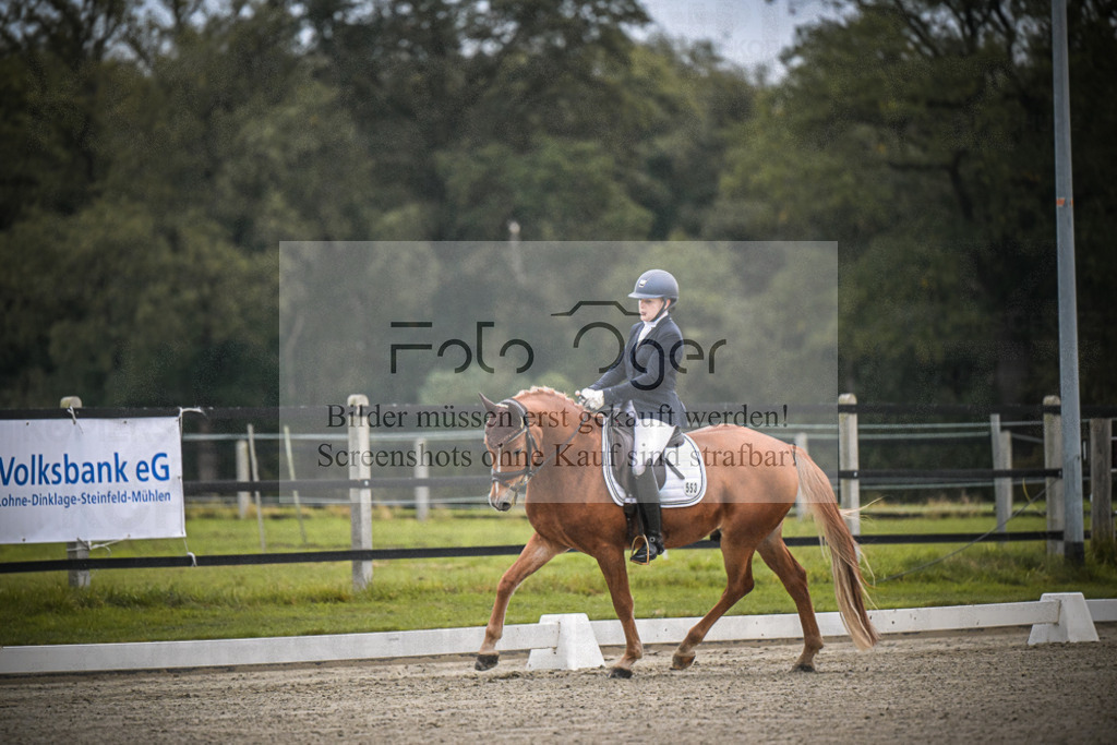 DOS_0293 | Entdecke hochwertige Reitturnierfotos von Foto Oger. Professionell, emotional und authentisch – jetzt Lieblingsmomente im Shop bestellen.Deutschlandweite Turnierfotografie. - Realisiert mit Pictrs.com