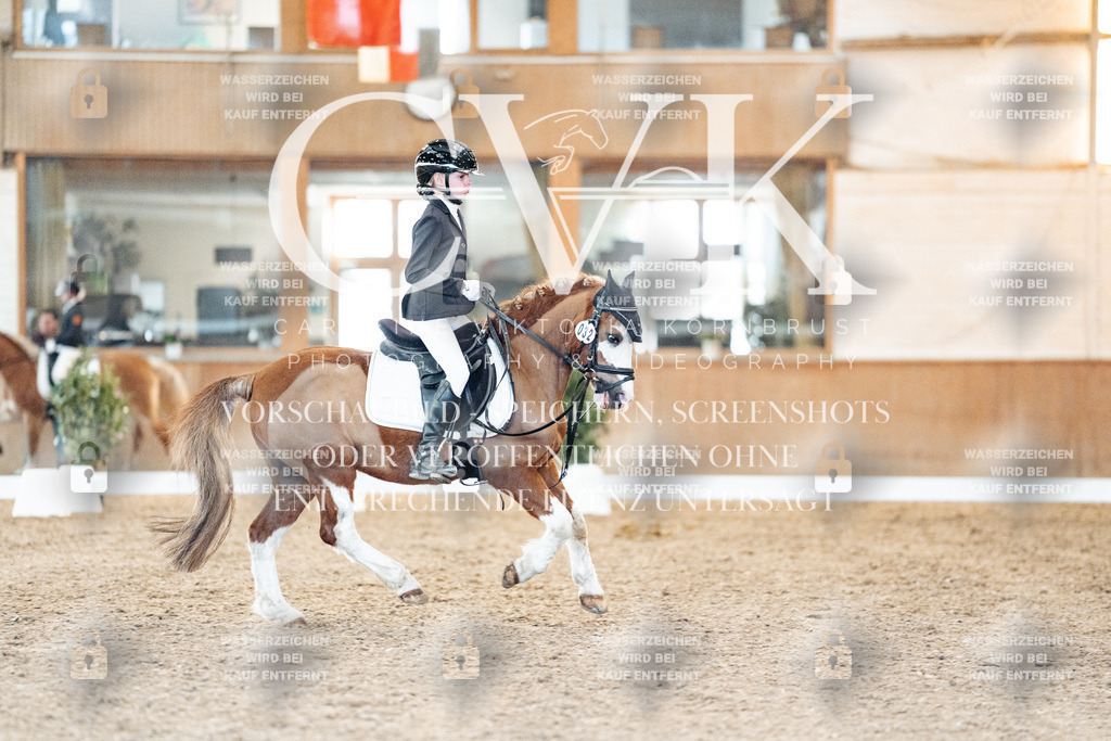 CK907300 | Turnierfotografie Pferdefotografie Trier Rheinland-Pfalz Pferdesport Reitsport Tierfotografie Sportfotografie Pferdevideo Pferdevideografie Equestrianvideography equestrianphotography  - Realisiert mit Pictrs.com