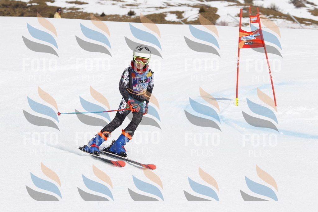 _U3G2480 | holidayphoto