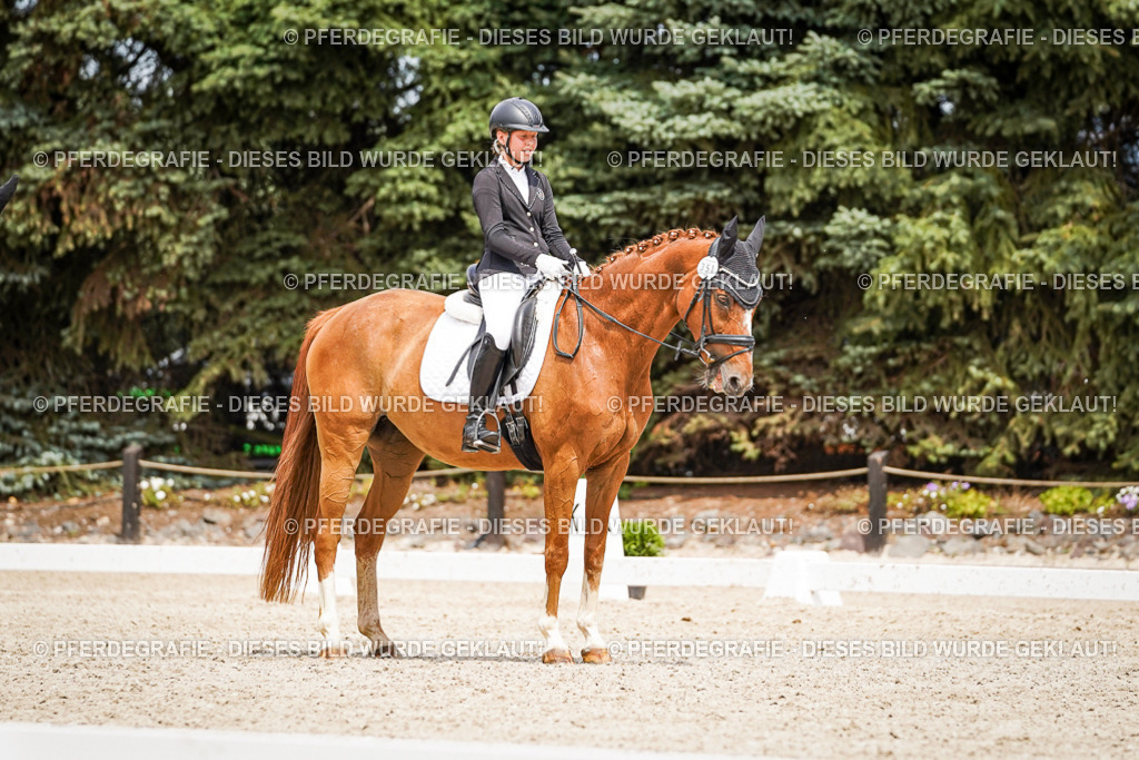 DSC04031 | Pferdegrafie