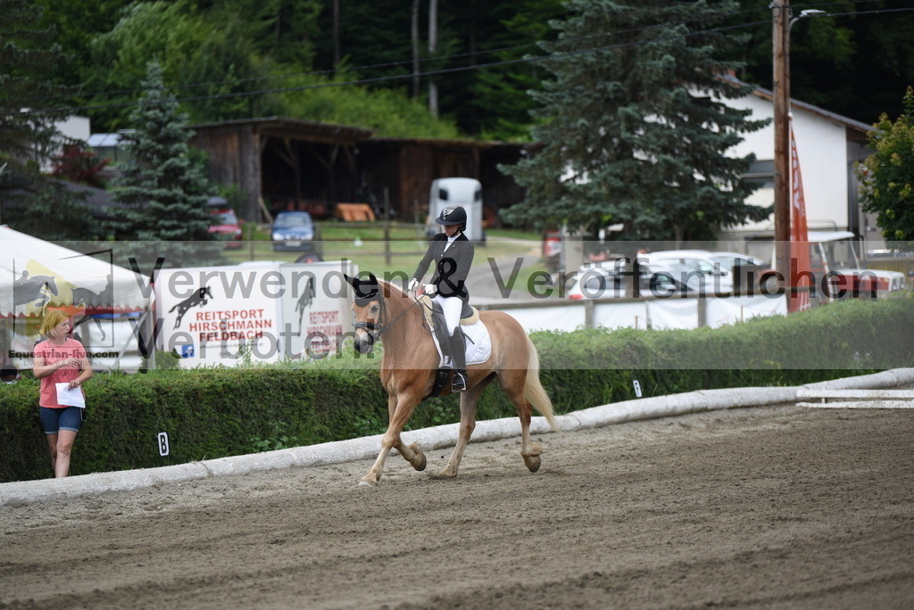 DSC_3755 | equestrian-live-com